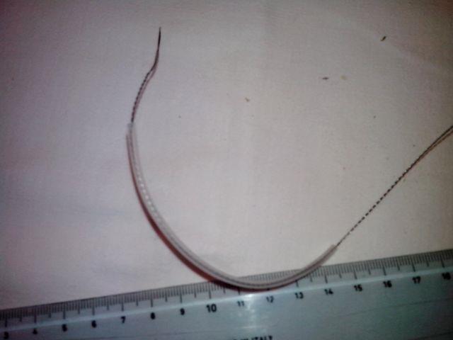 montura bungee - 9.jpg